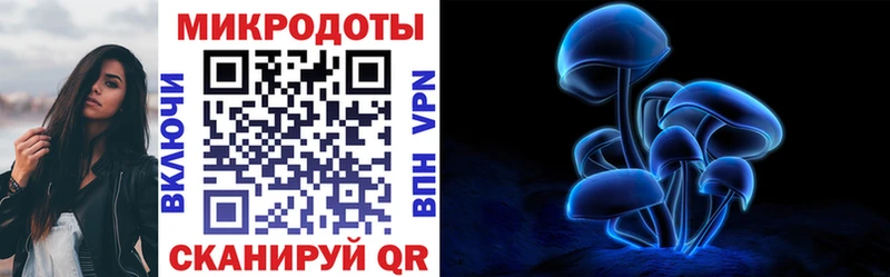 Псилоцибиновые грибы Cubensis  где купить наркоту  Магас 